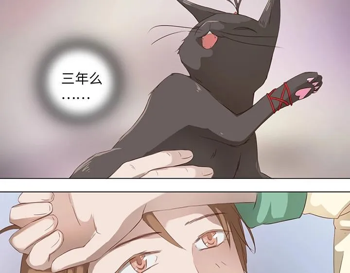 14 喵回来啦~ 第6页