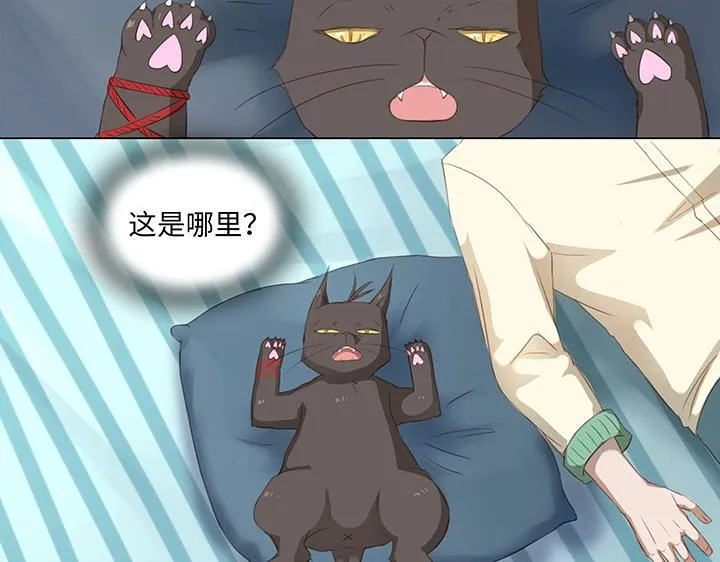 14 喵回来啦~ 第19页