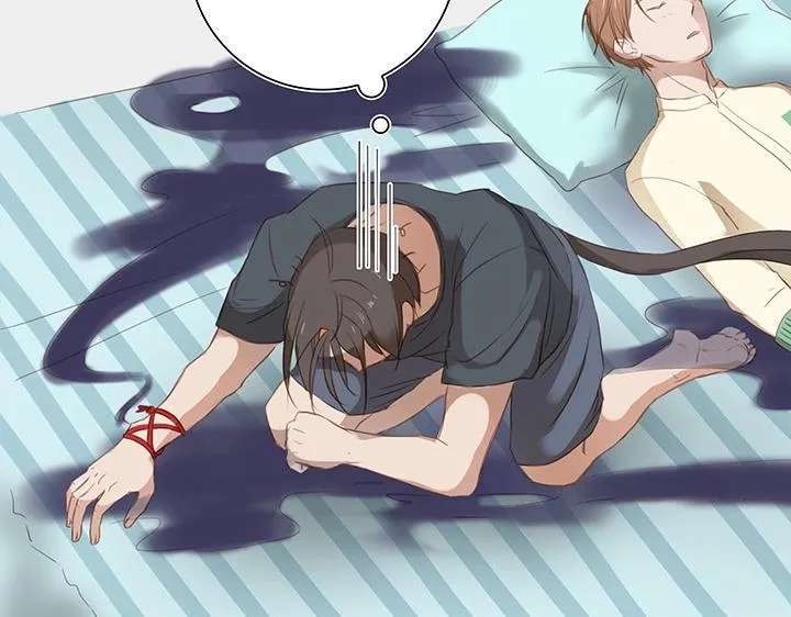 14 喵回来啦~ 第26页