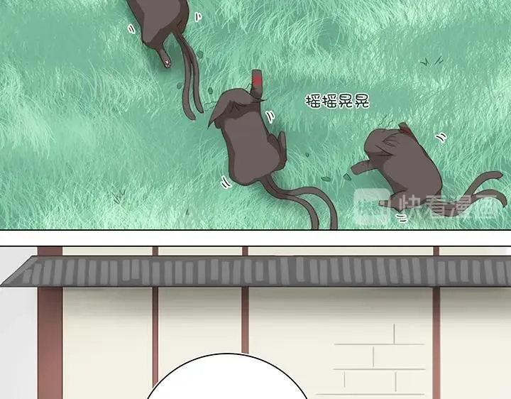 14 喵回来啦~ 第38页