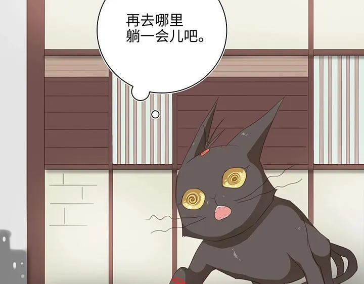 14 喵回来啦~ 第39页