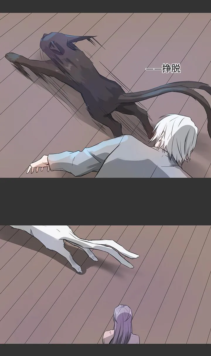 82 曾经 第13页