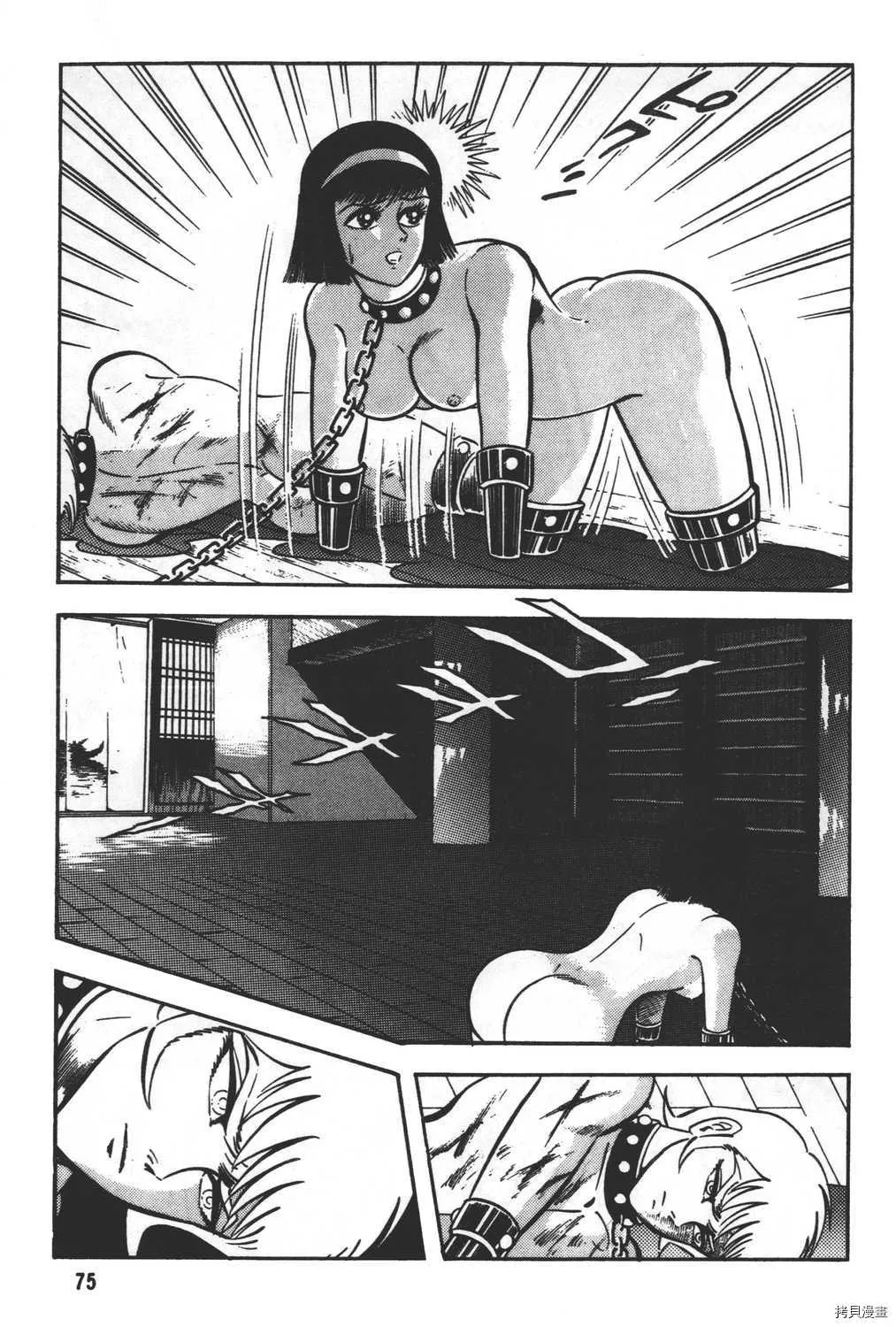 第28卷 第77页