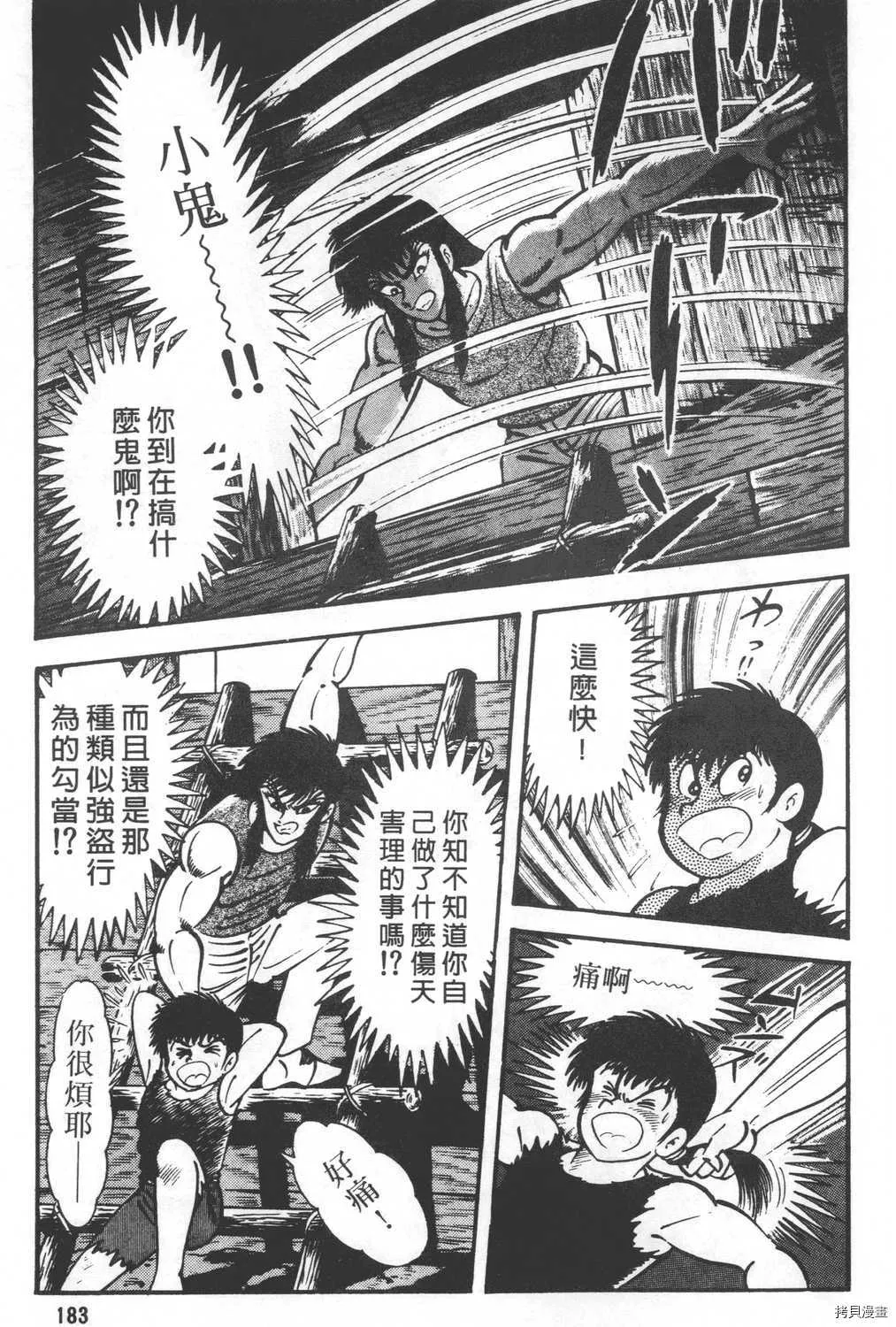 第24卷 第185页