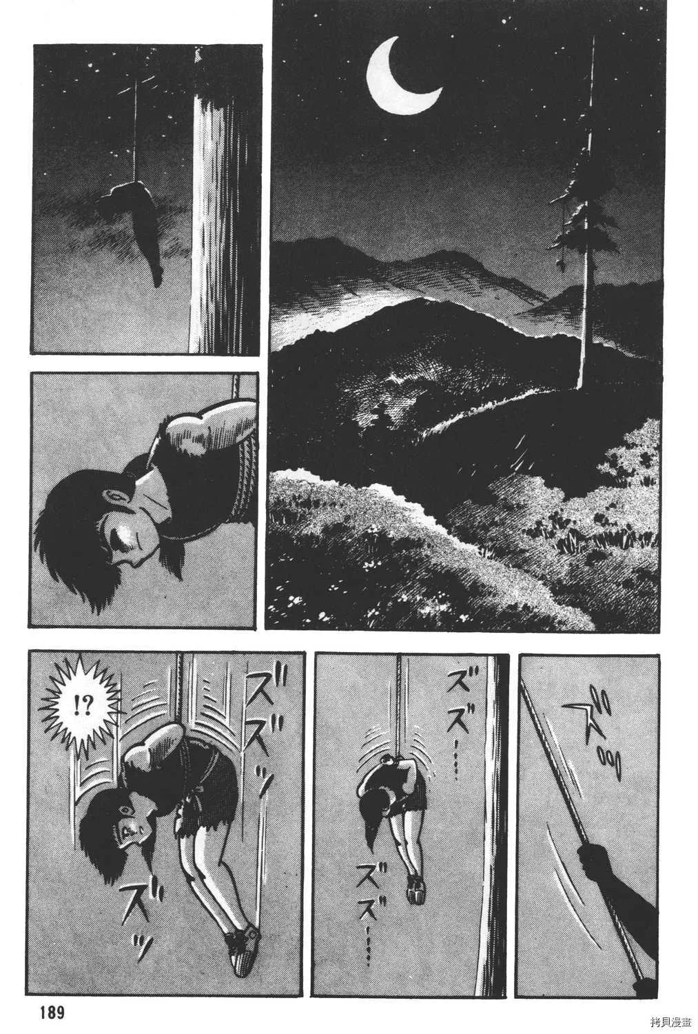 第24卷 第191页