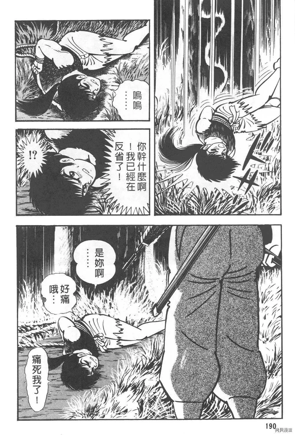 第24卷 第192页