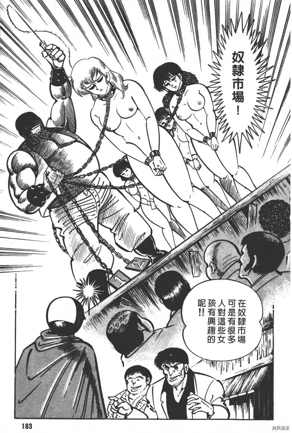 第21卷 第185页