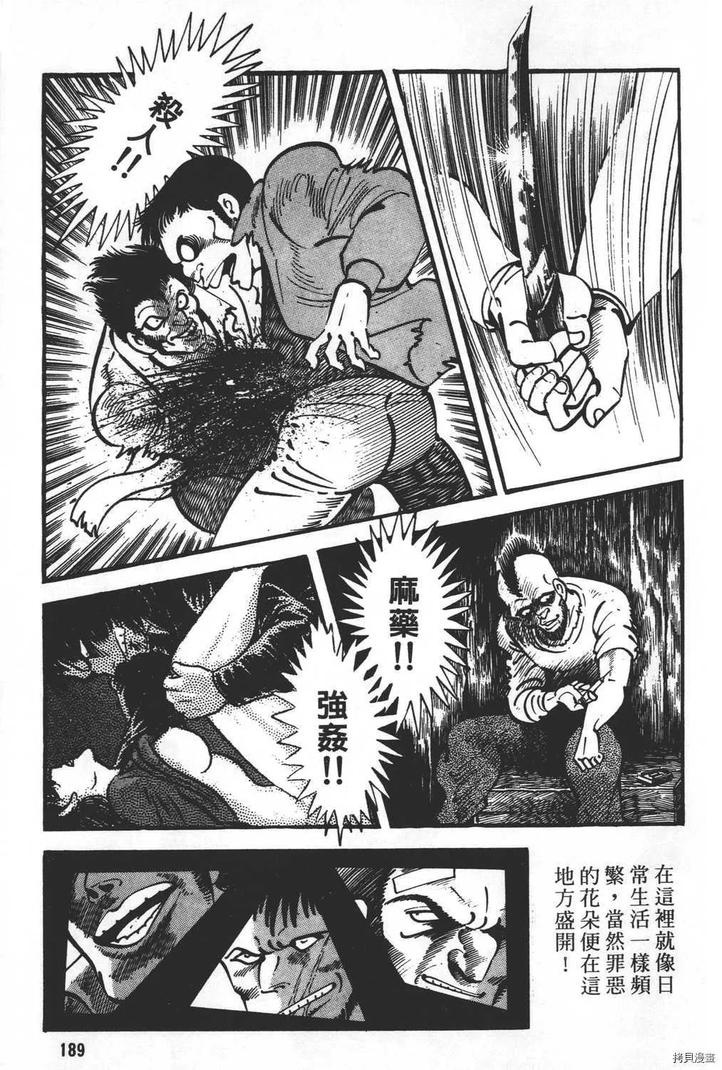 第21卷 第191页