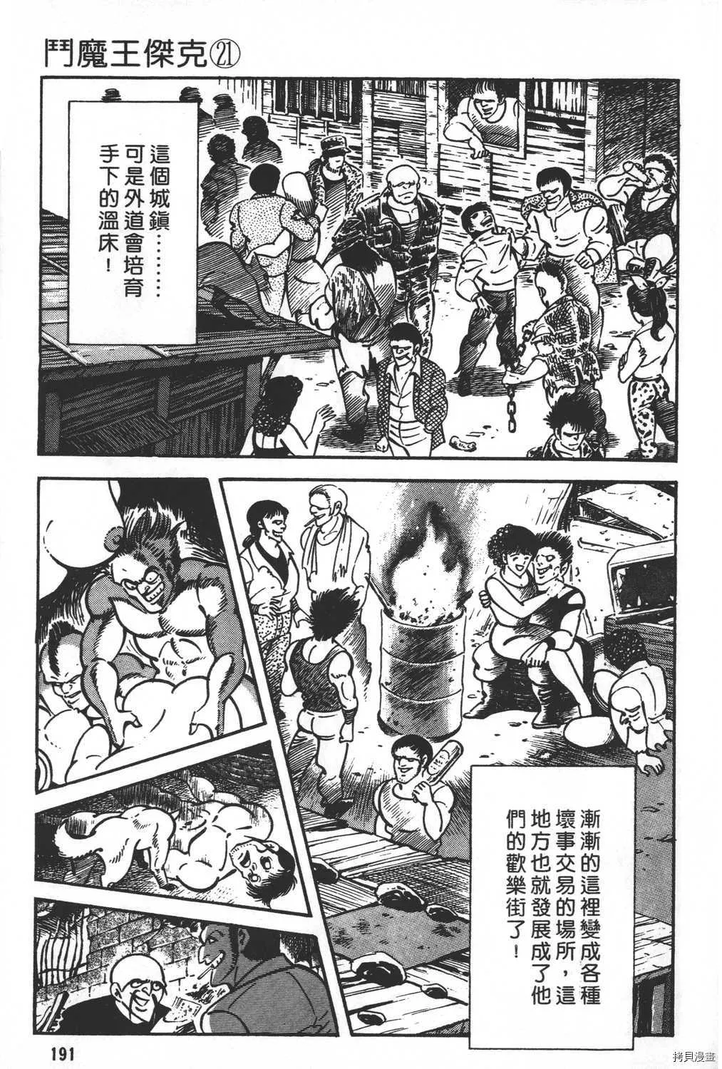 第21卷 第193页