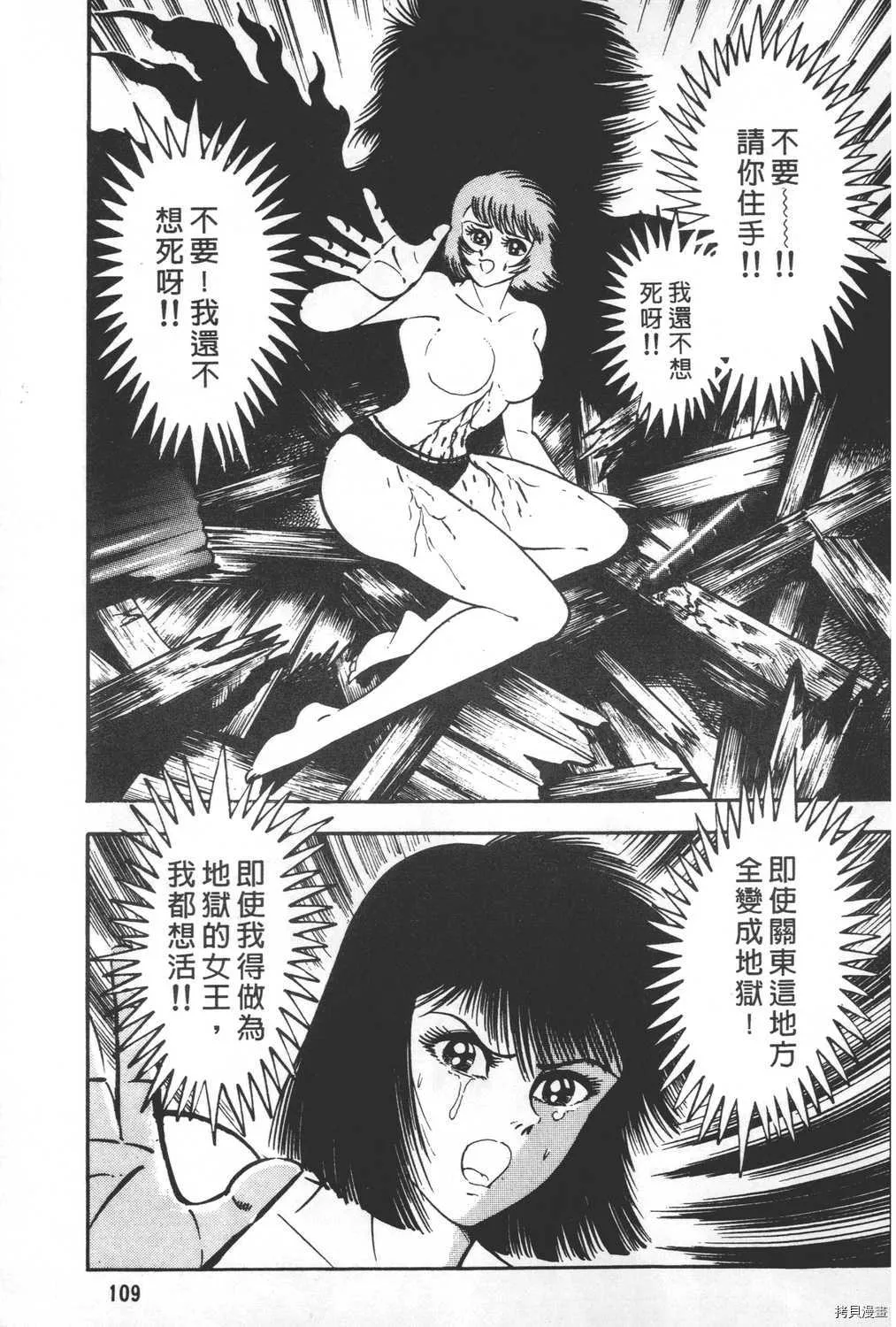 第19卷 第111页