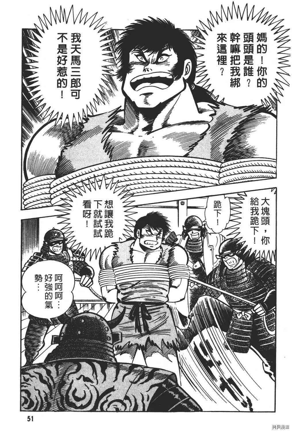 第17卷 第53页