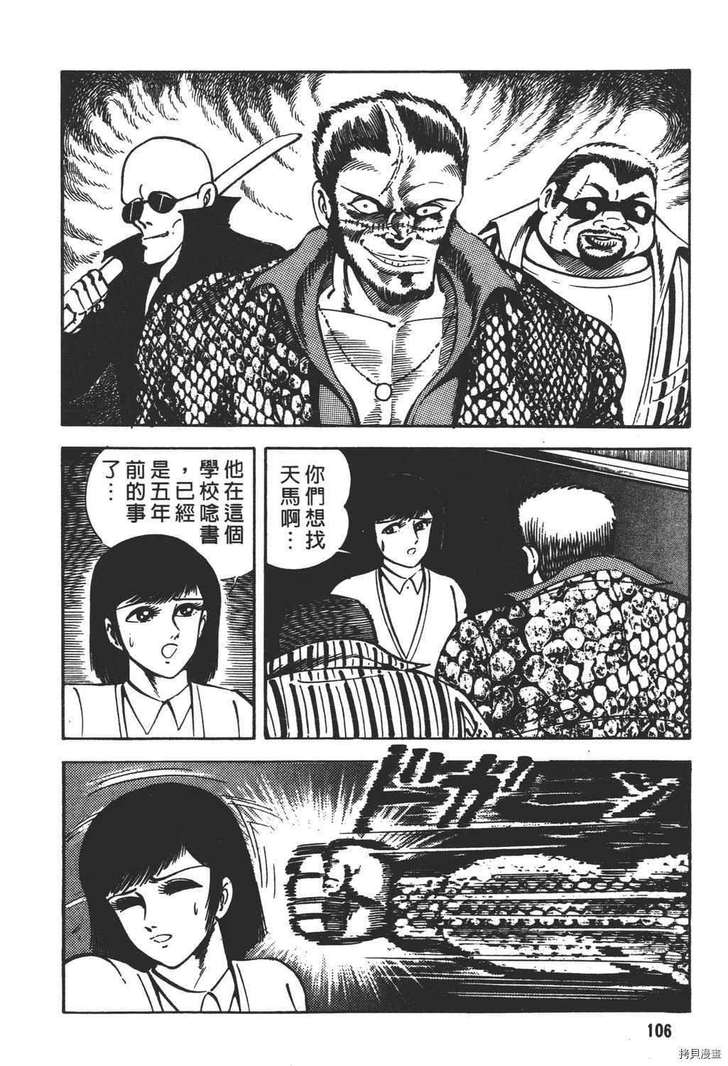 第17卷 第108页