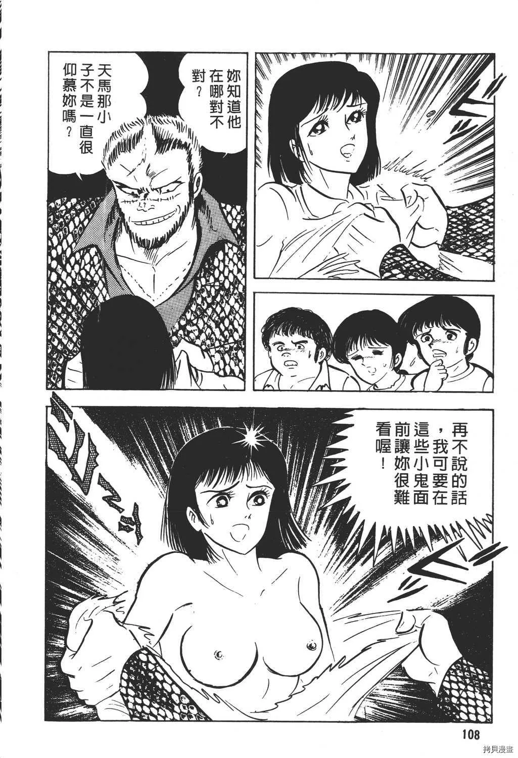 第17卷 第110页