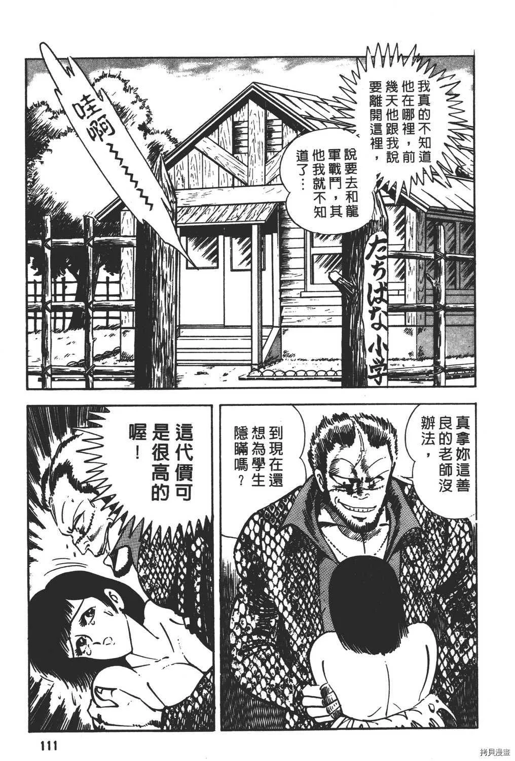 第17卷 第113页