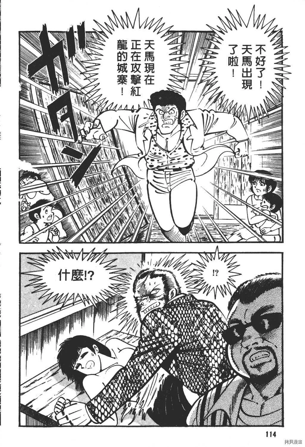 第17卷 第116页