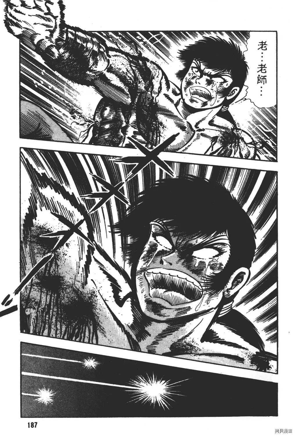 第17卷 第189页