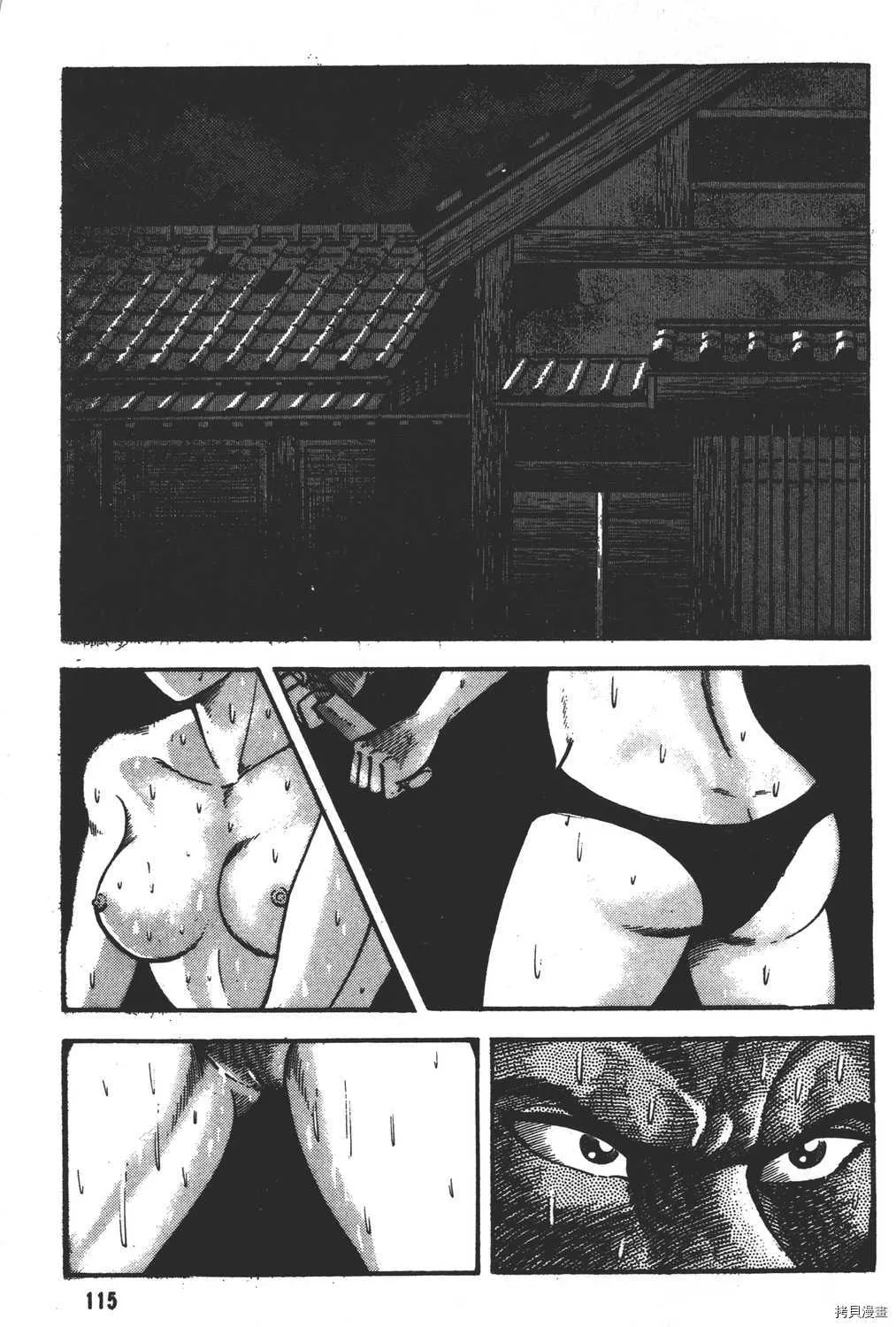 第13卷 第117页