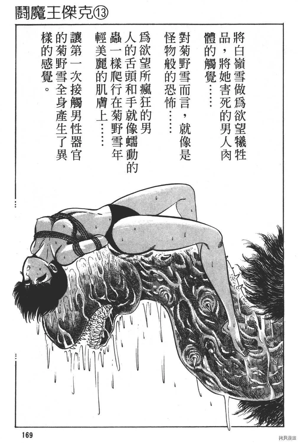 第13卷 第171页
