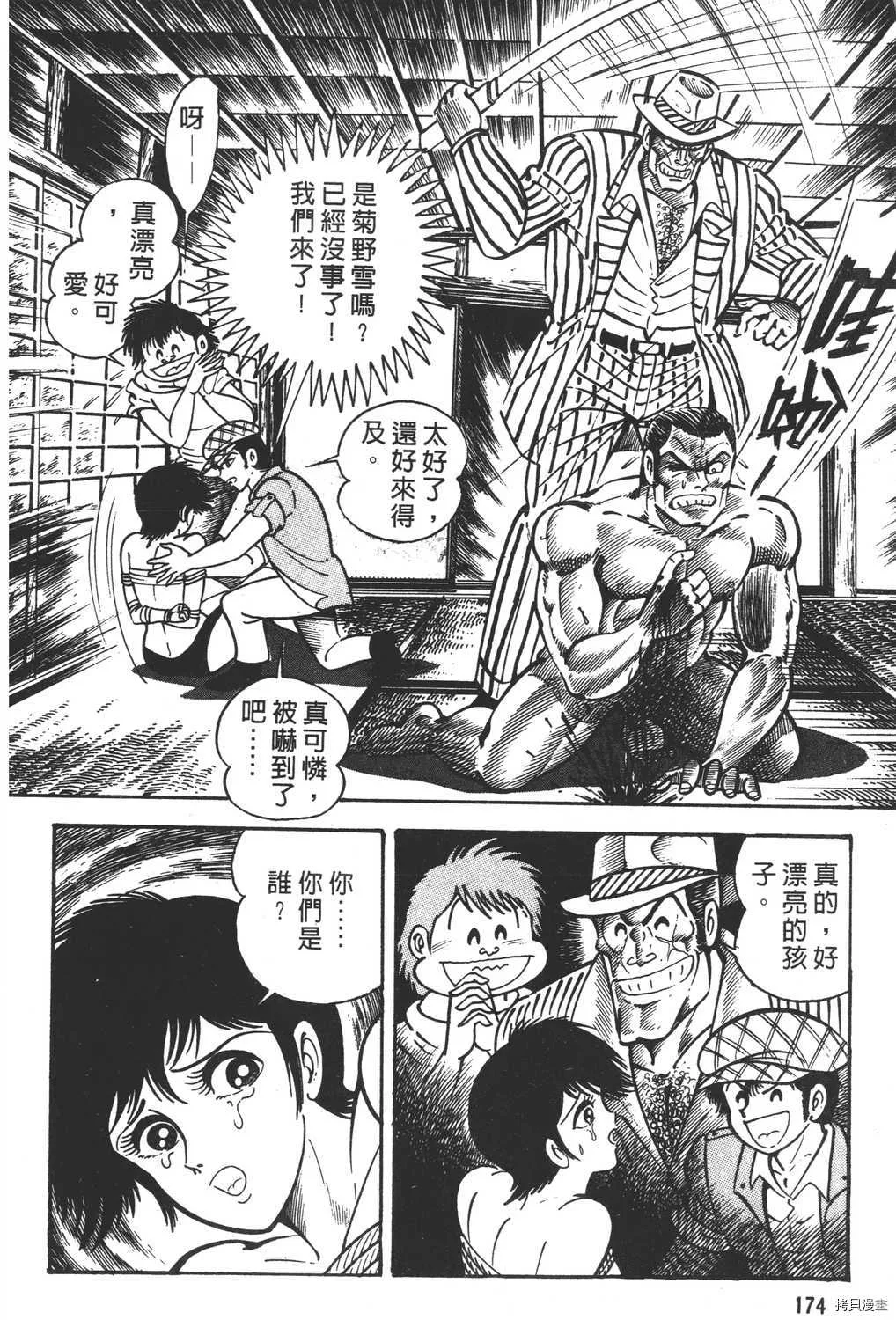 第13卷 第176页