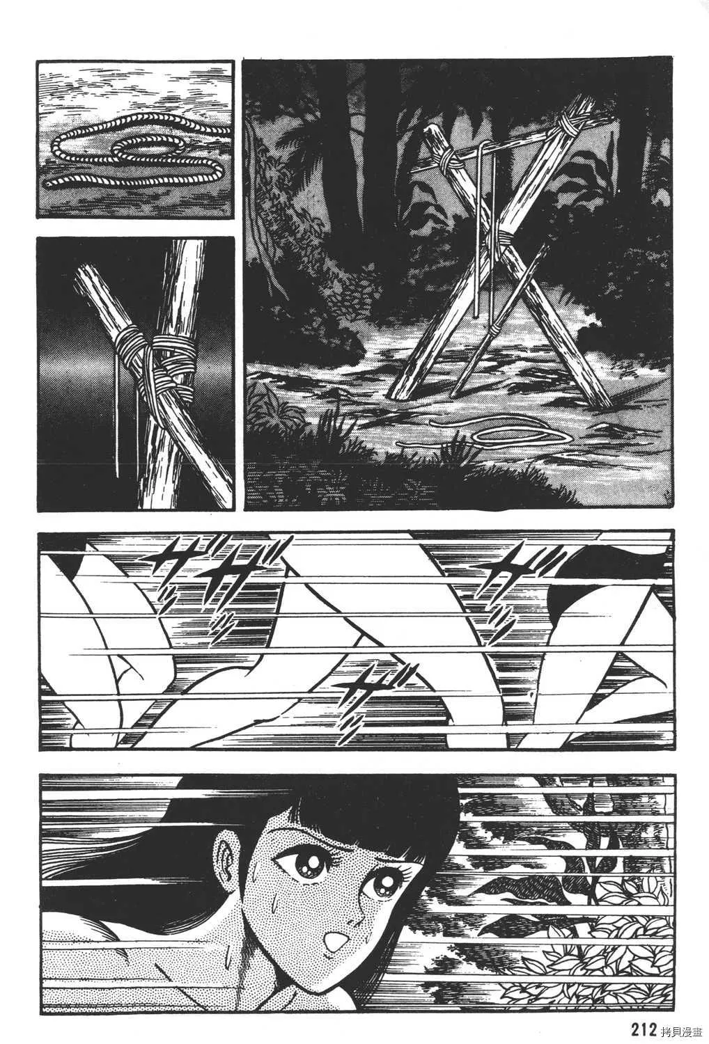 第10卷 第214页