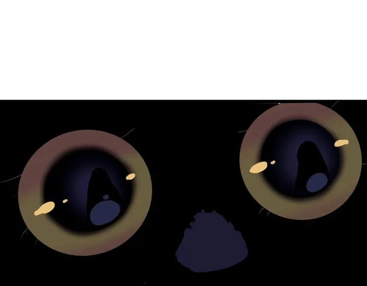 第7话 看见死神的黑猫 第33页