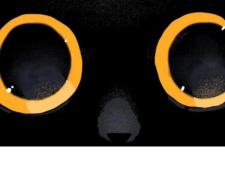 第7话 看见死神的黑猫 第54页