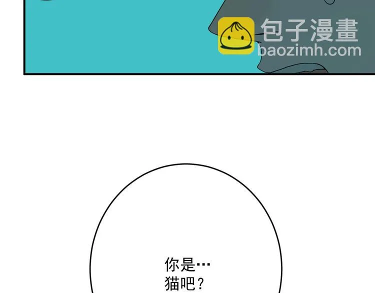 第4话 猫觅馋 第85页