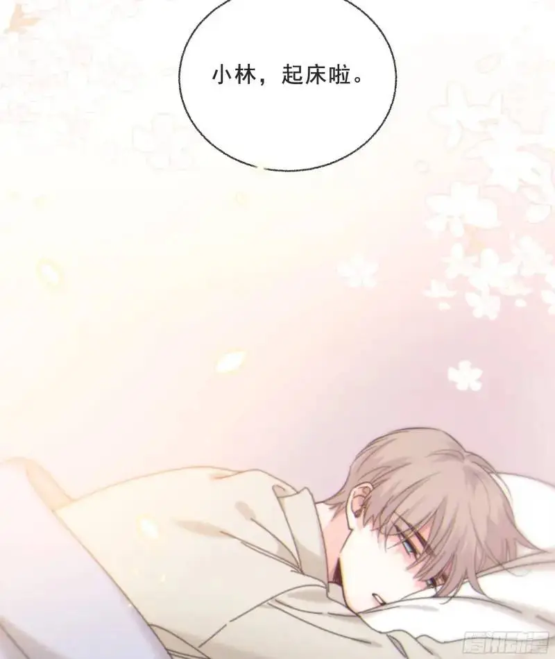 049. 不想醒来的梦 第43页