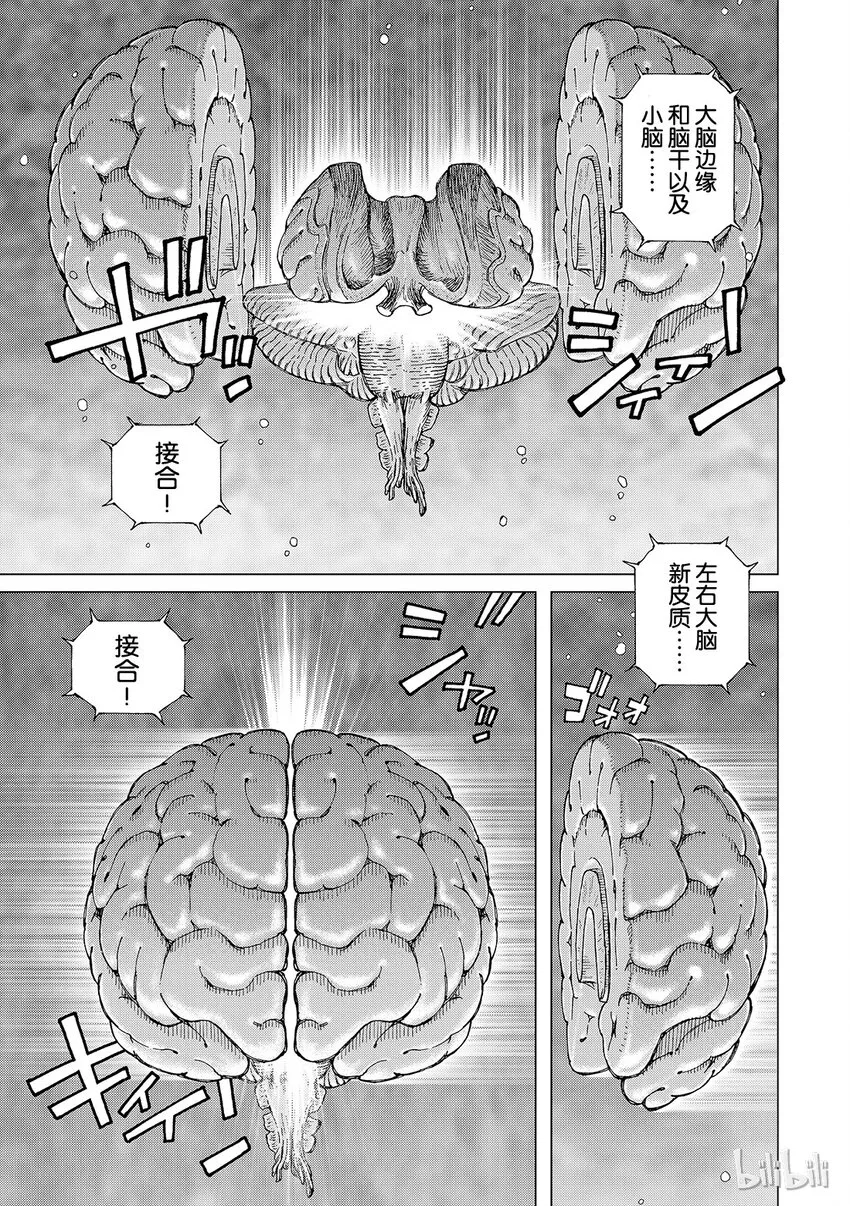 1 第26页