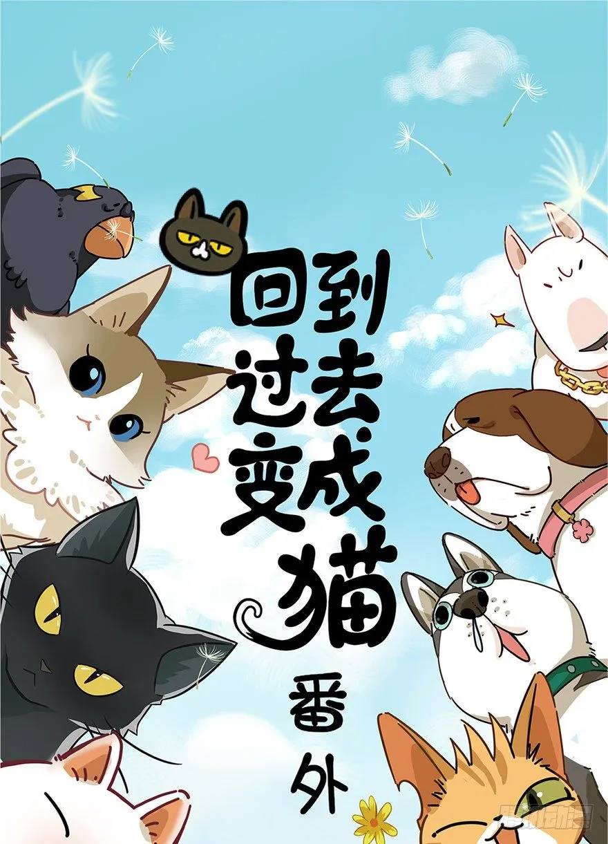 第1爪 猫？猫！ 第1页