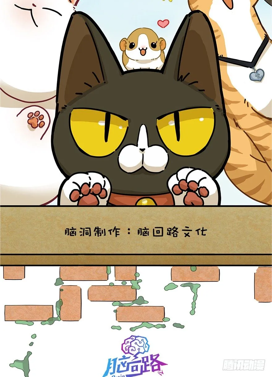 第1爪 猫？猫！ 第2页