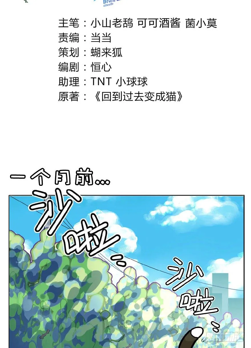 第1爪 猫？猫！ 第3页