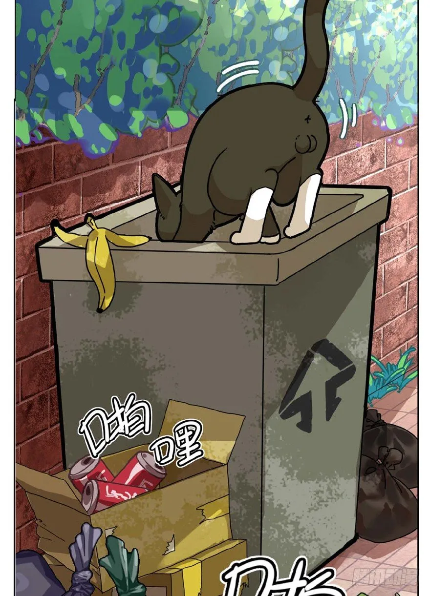 第1爪 猫？猫！ 第4页