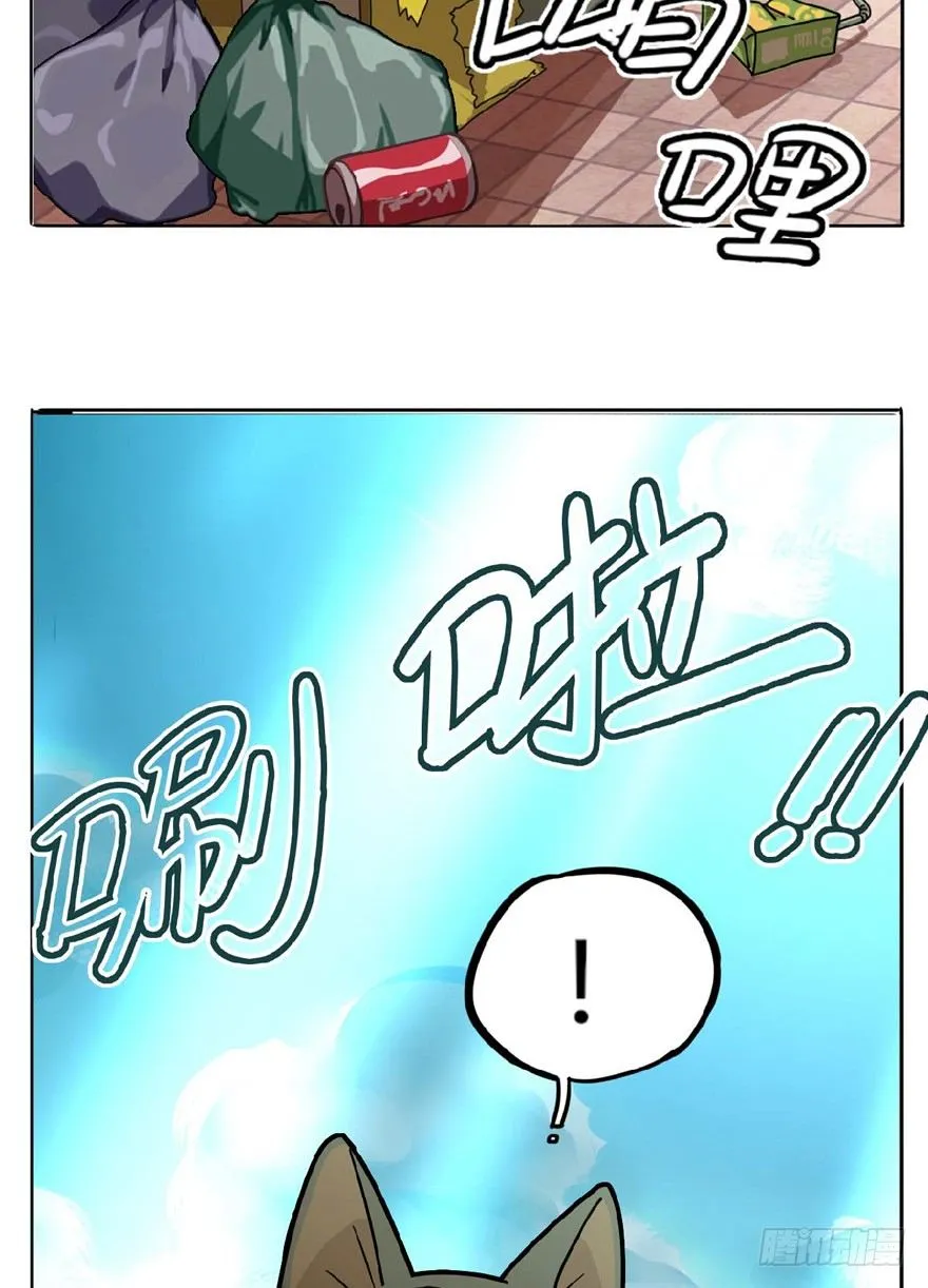 第1爪 猫？猫！ 第5页