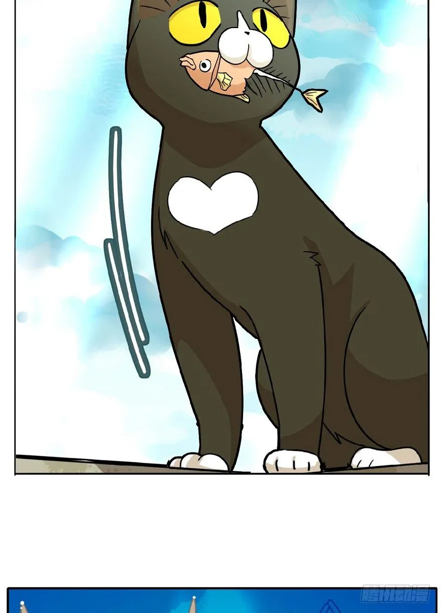 第1爪 猫？猫！ 第6页