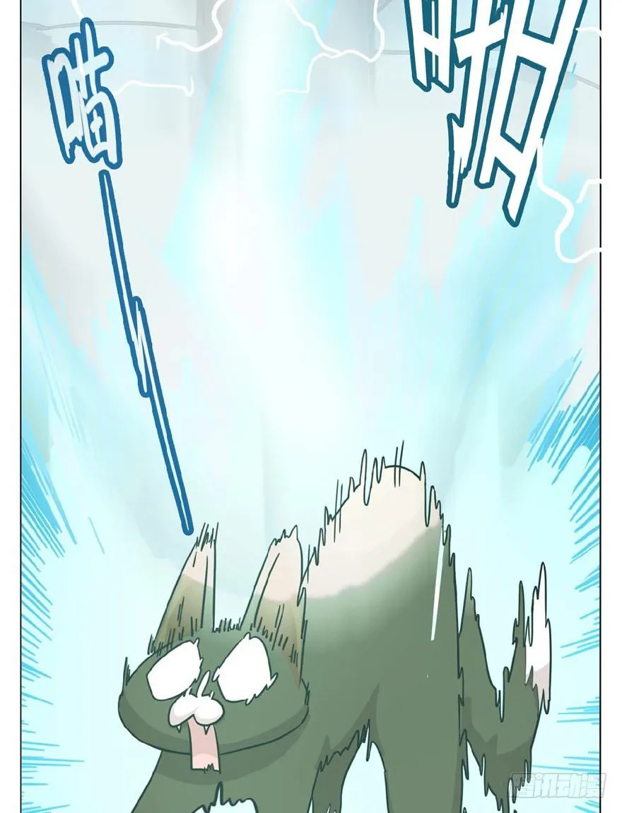 第1爪 猫？猫！ 第12页