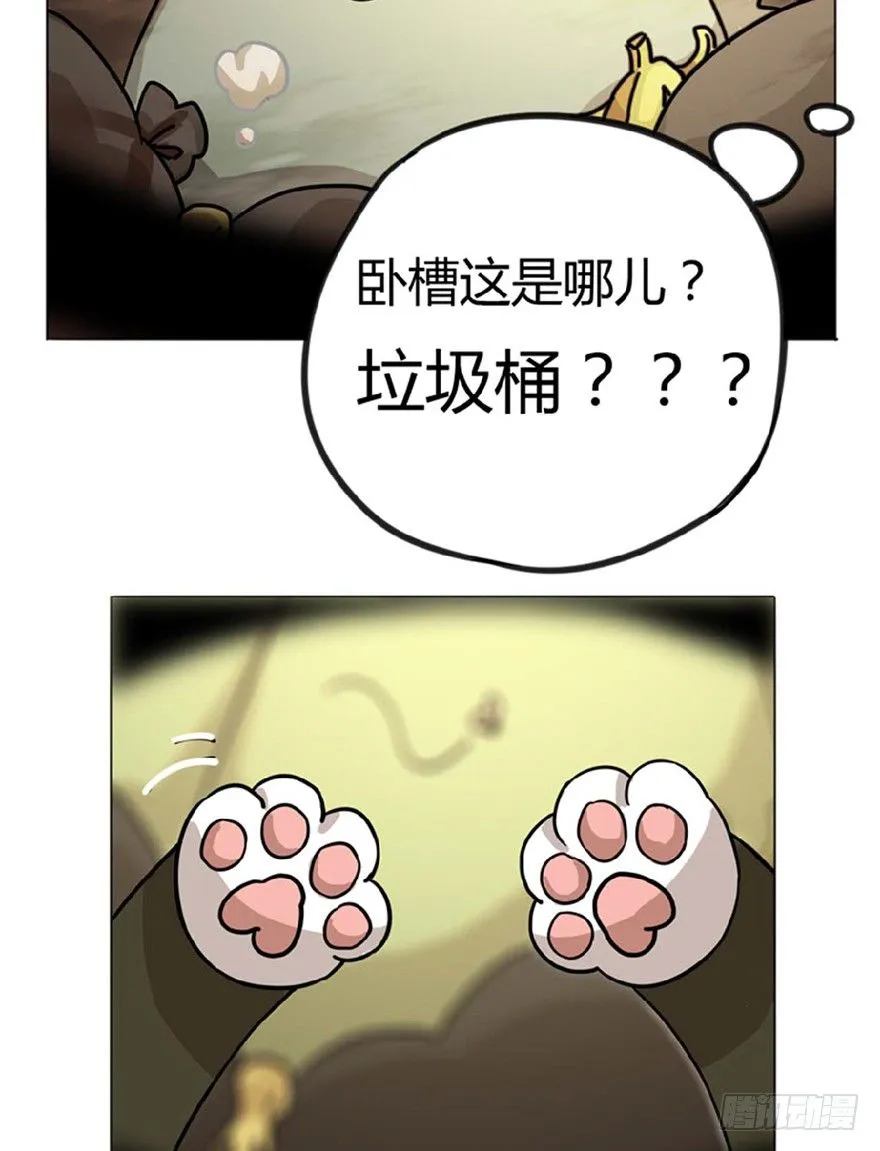 第1爪 猫？猫！ 第17页