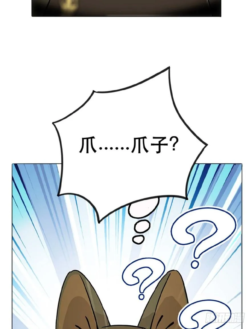 第1爪 猫？猫！ 第18页