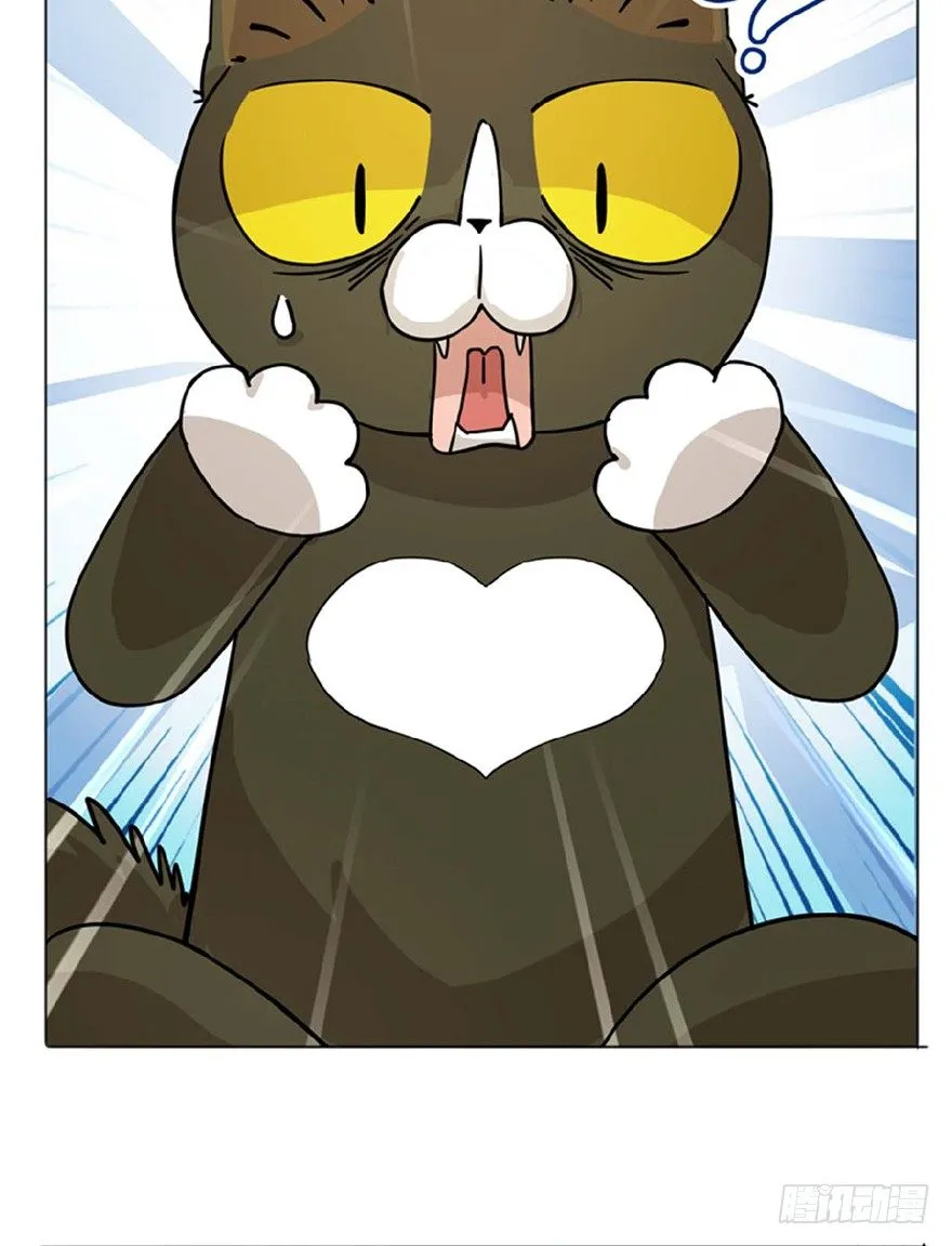 第1爪 猫？猫！ 第19页