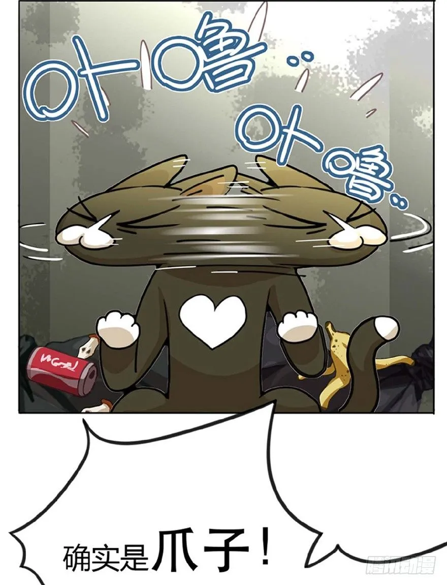 第1爪 猫？猫！ 第20页