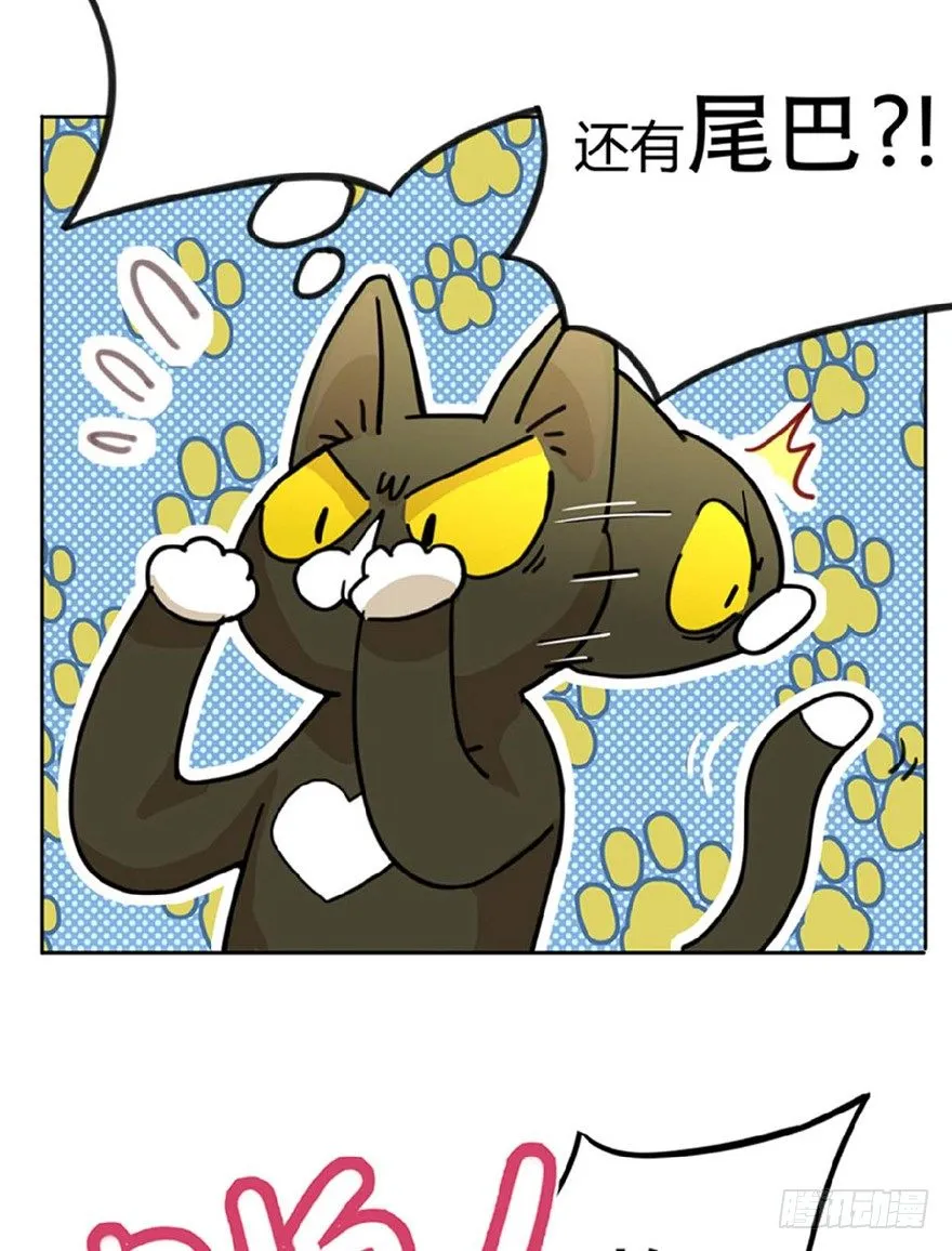 第1爪 猫？猫！ 第21页