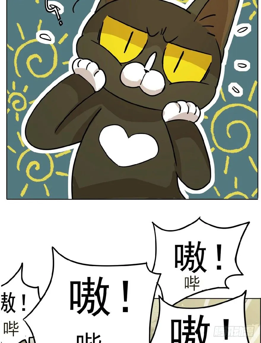第1爪 猫？猫！ 第24页