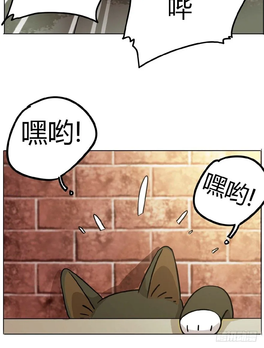 第1爪 猫？猫！ 第26页