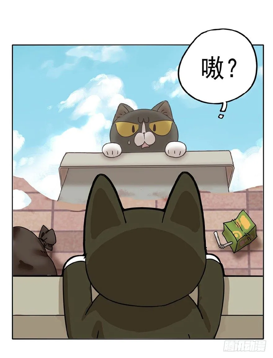第1爪 猫？猫！ 第27页