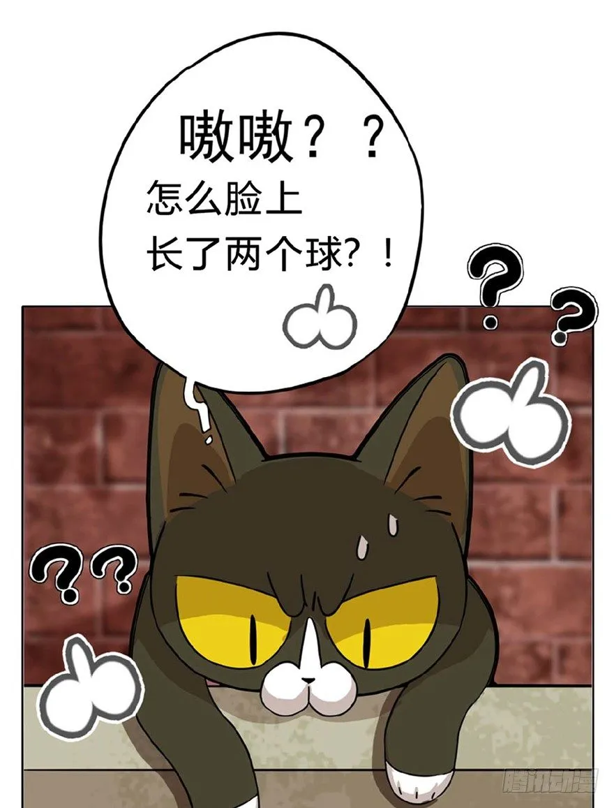 第1爪 猫？猫！ 第28页