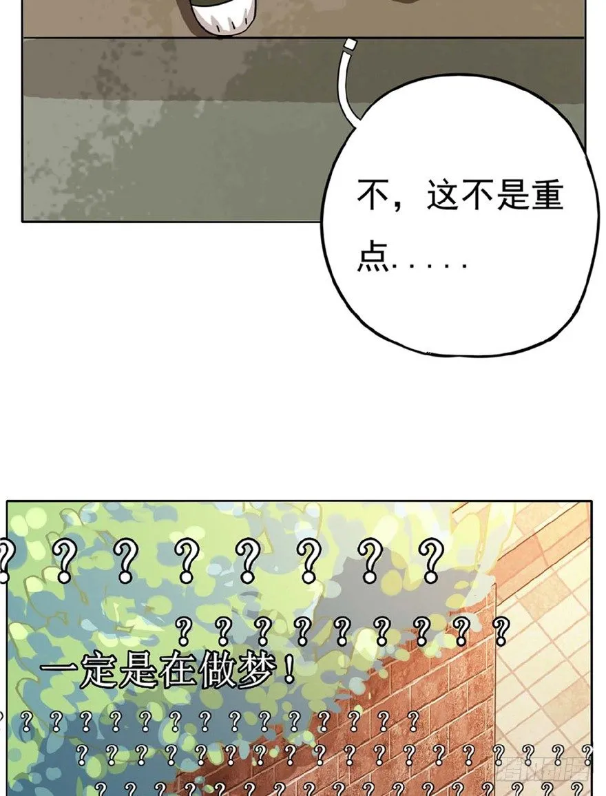第1爪 猫？猫！ 第29页