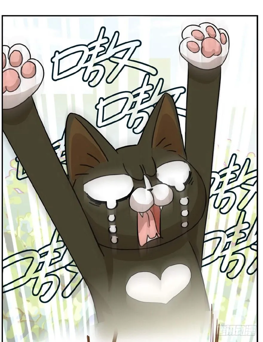 第1爪 猫？猫！ 第31页