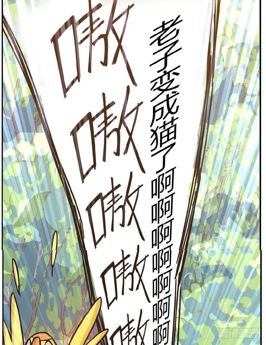 第1爪 猫？猫！ 第32页