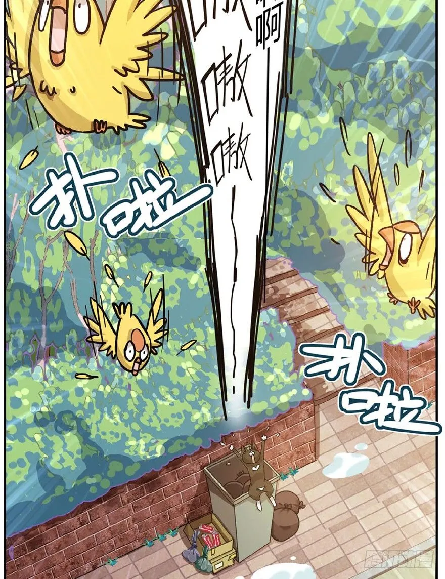 第1爪 猫？猫！ 第33页