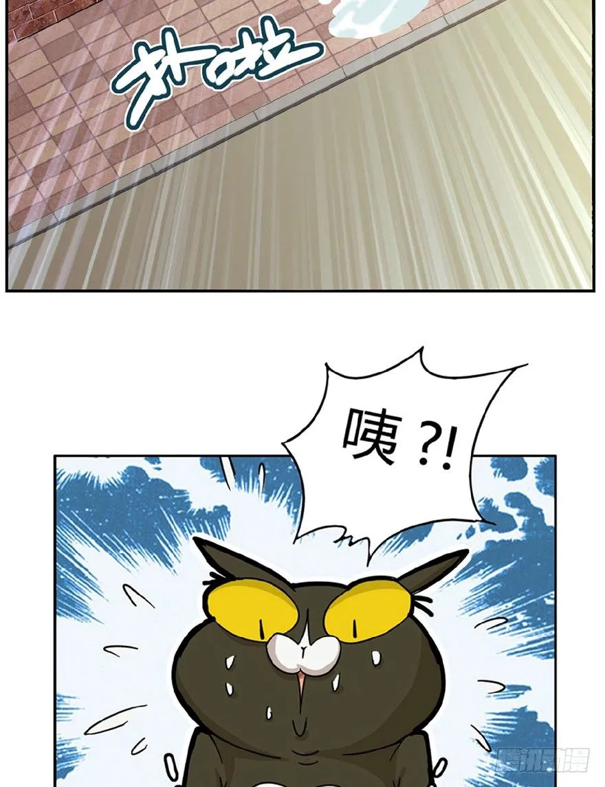 第1爪 猫？猫！ 第34页